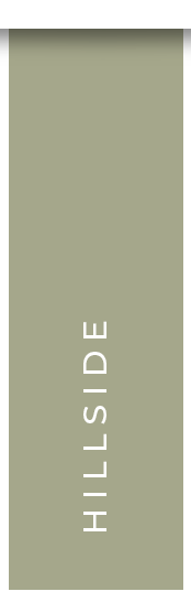 Shop Hillside