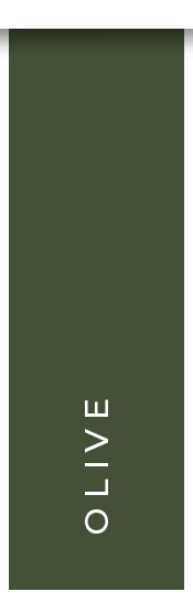 Shop Olive